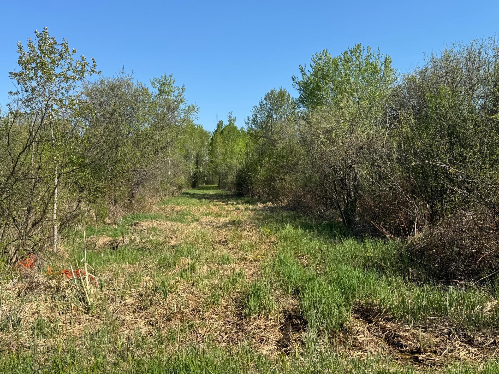 TBD Skog Road, Kettle River, Minnesota image 5