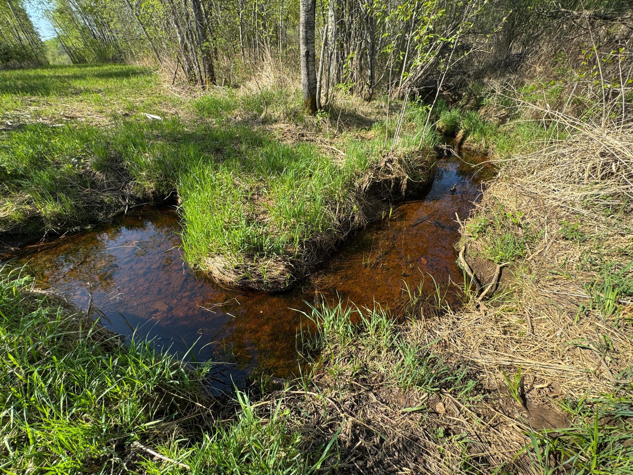 TBD Skog Road, Kettle River, Minnesota image 10