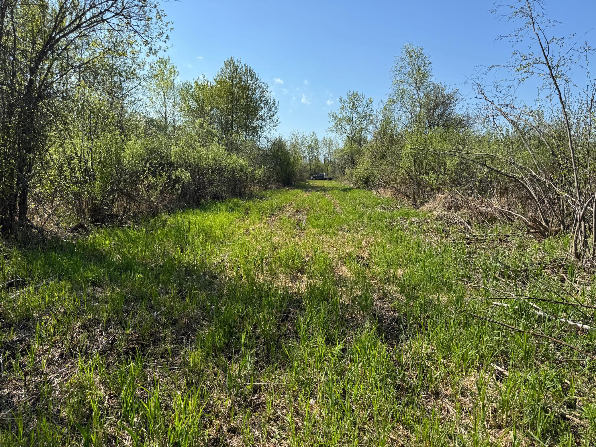 TBD Skog Road, Kettle River, Minnesota image 7