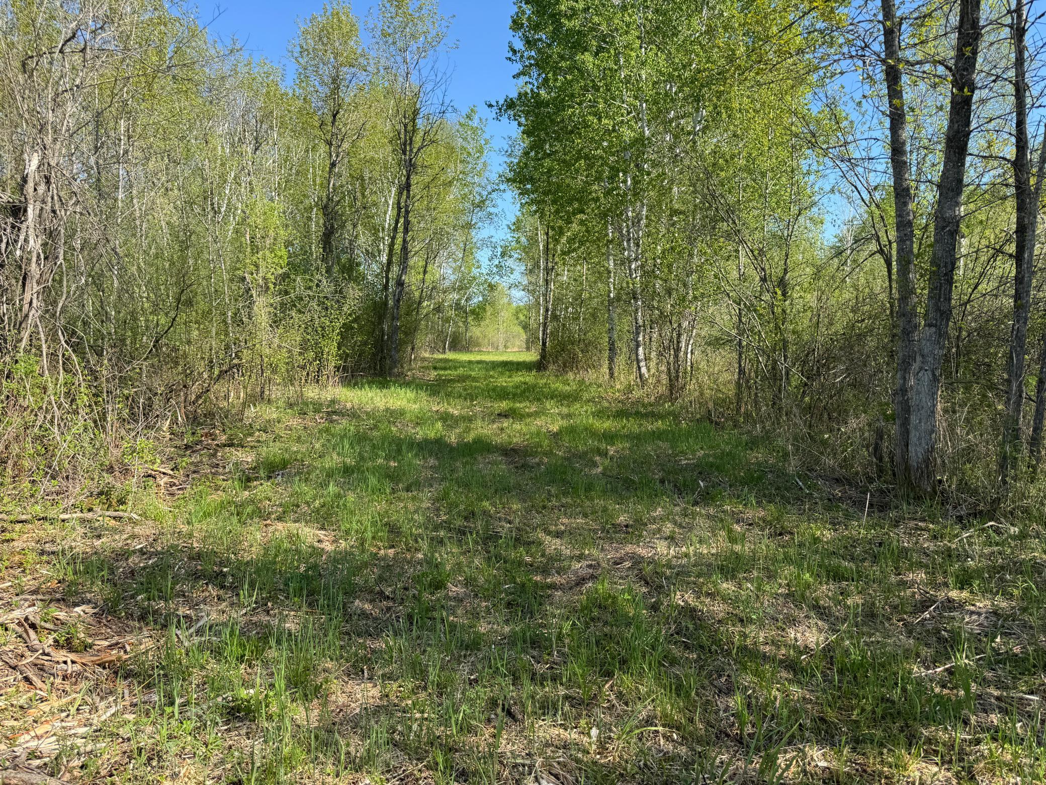 TBD Skog Road, Kettle River, Minnesota image 6
