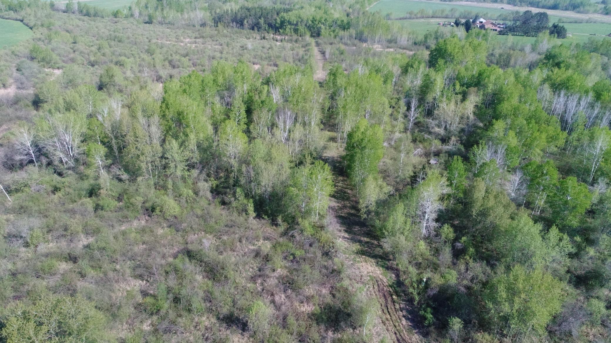 TBD Skog Road, Kettle River, Minnesota image 14