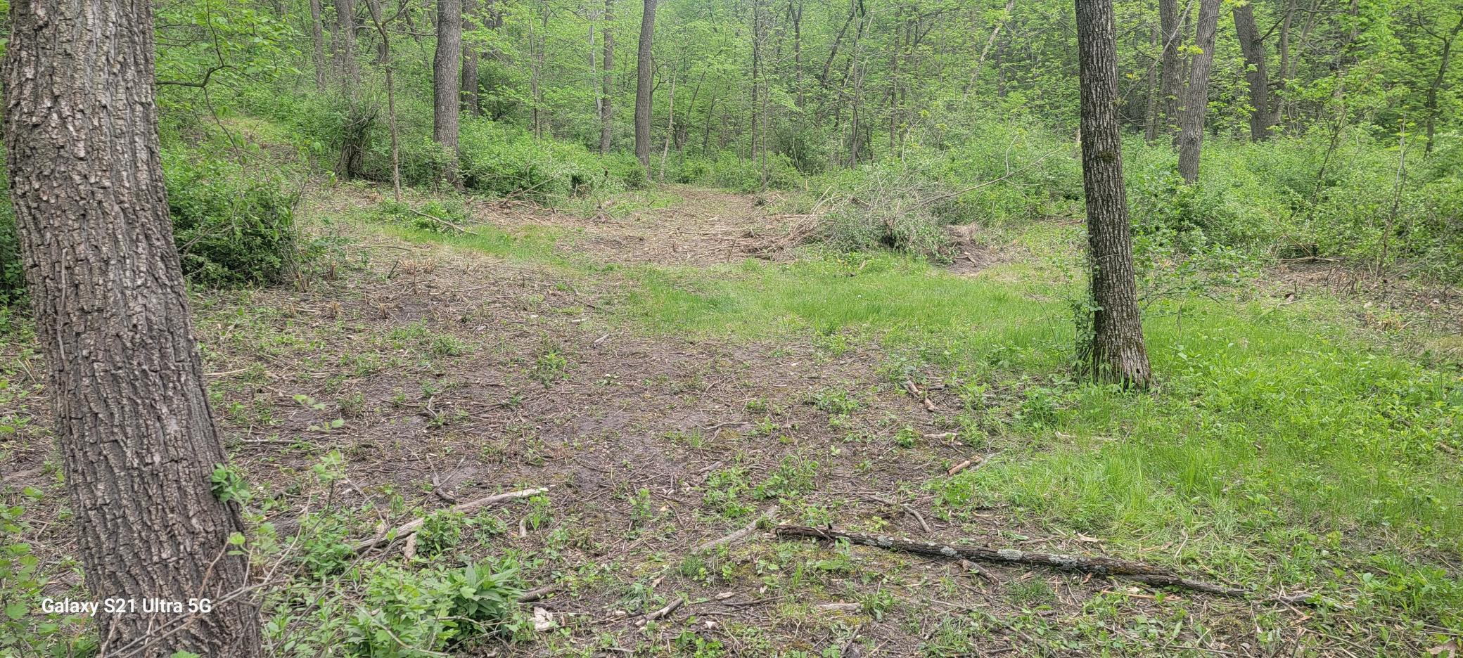TBD County 45 Blvd, Red Wing, Minnesota image 3