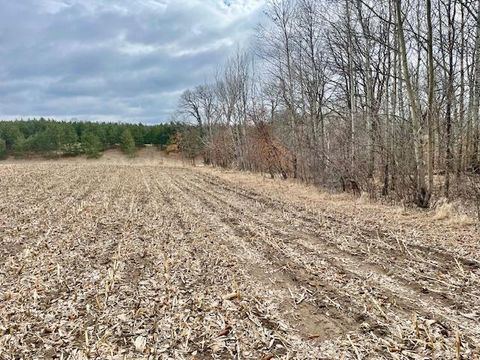 Vacant Land For Sale - TBD Co Hwy 1<br/> Underwood, MN 56586