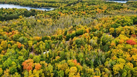 Vacant Land For Sale - LOT 12 Beaver Drive<br/> Brainerd, MN 56401
