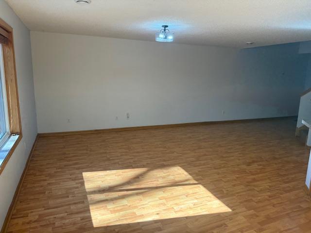 4132 Raptor Road, Saint Paul, Minnesota image 8