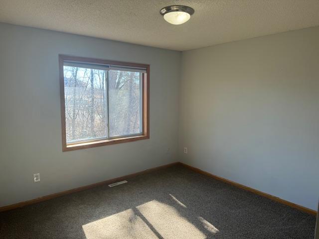 4132 Raptor Road, Saint Paul, Minnesota image 15