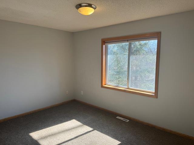 4132 Raptor Road, Saint Paul, Minnesota image 14
