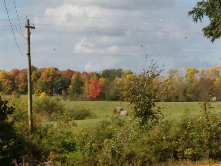 XXXXX County Road Z, Grantsburg, Wisconsin image 14