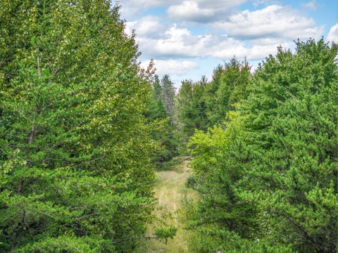 Vacant Land For Sale - TRACT B Highway 21<br/> Babbitt, MN 55706