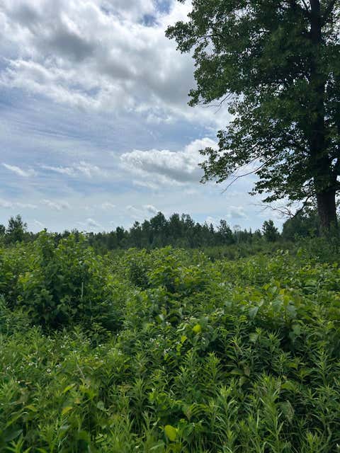 Vacant Land For Sale - TBD1 Duncan Road<br/> Sandstone, MN 55072