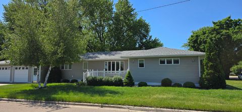Homes For Sale - 313 3rd Avenue<br/> Freeborn County, Emmons, MN 56029