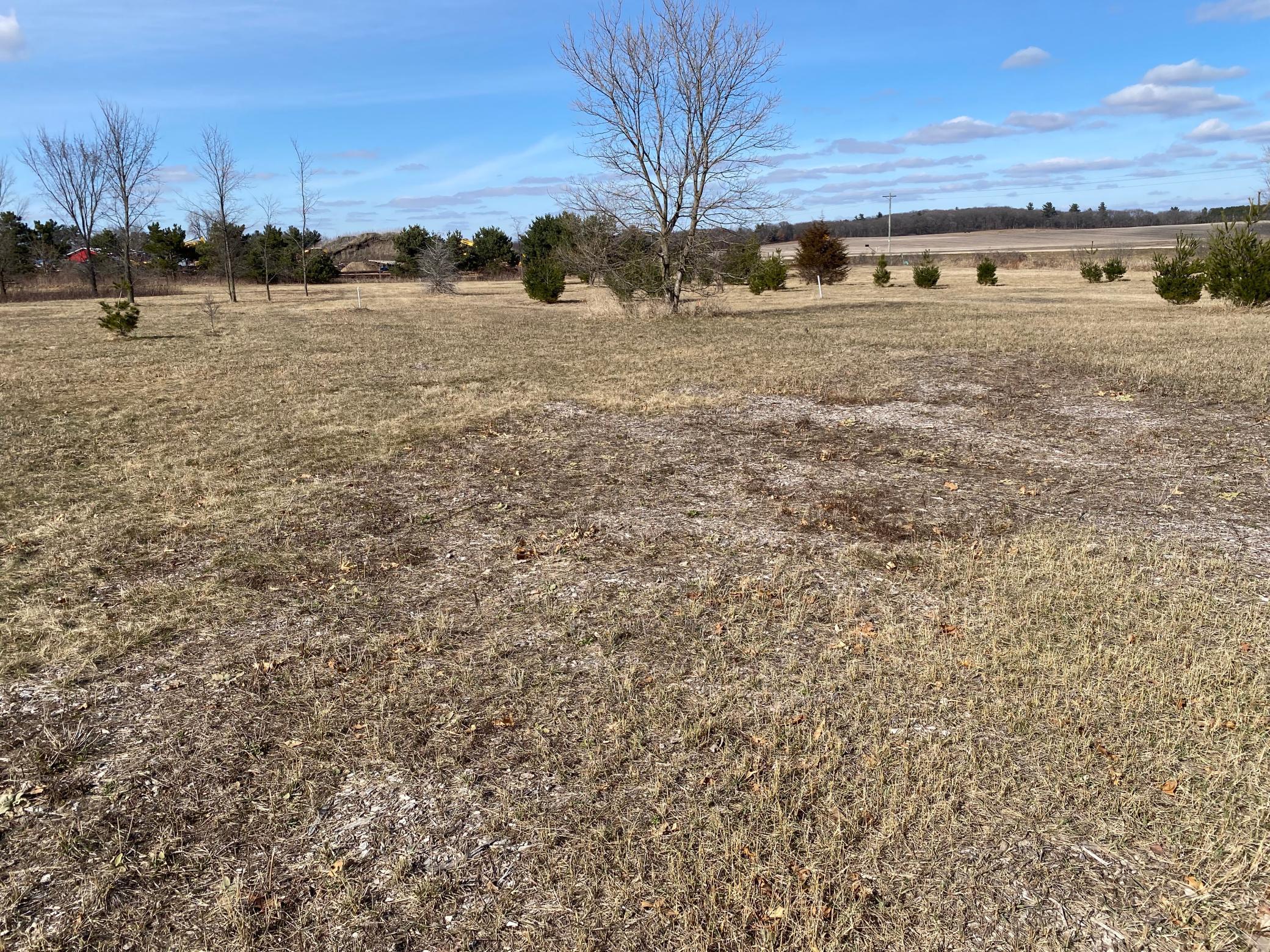 Lot 2 934th Street, Mondovi, Wisconsin image 1