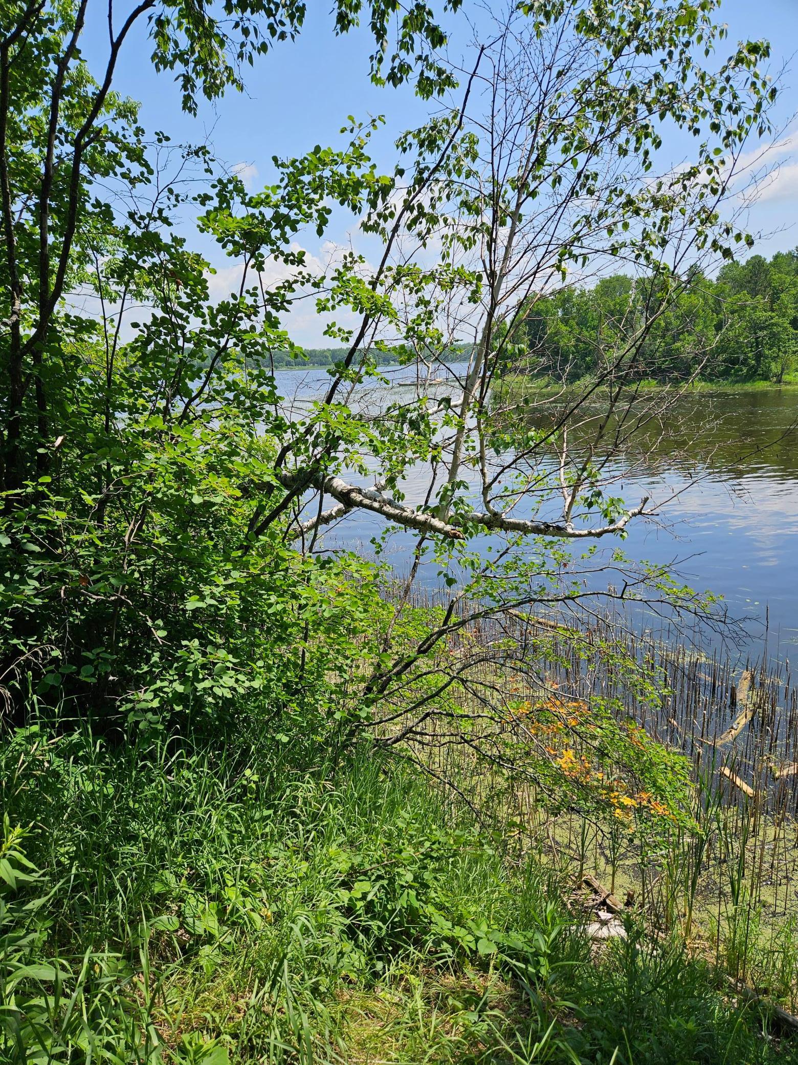 Lot1 Hooper Creek Loop, Baudette, Minnesota image 1