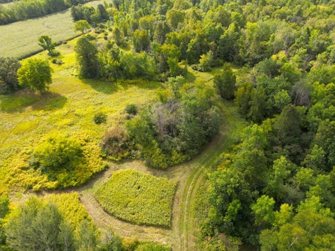 Vacant Land For Sale - 1XXX 150th Avenue<br/> Kanabec County, Ogilvie, MN 56358