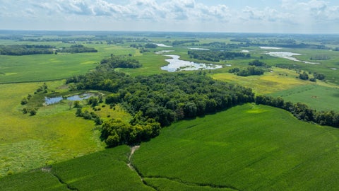 Vacant Land For Sale - 9380 County Road 51<br/> Cologne, MN 55322