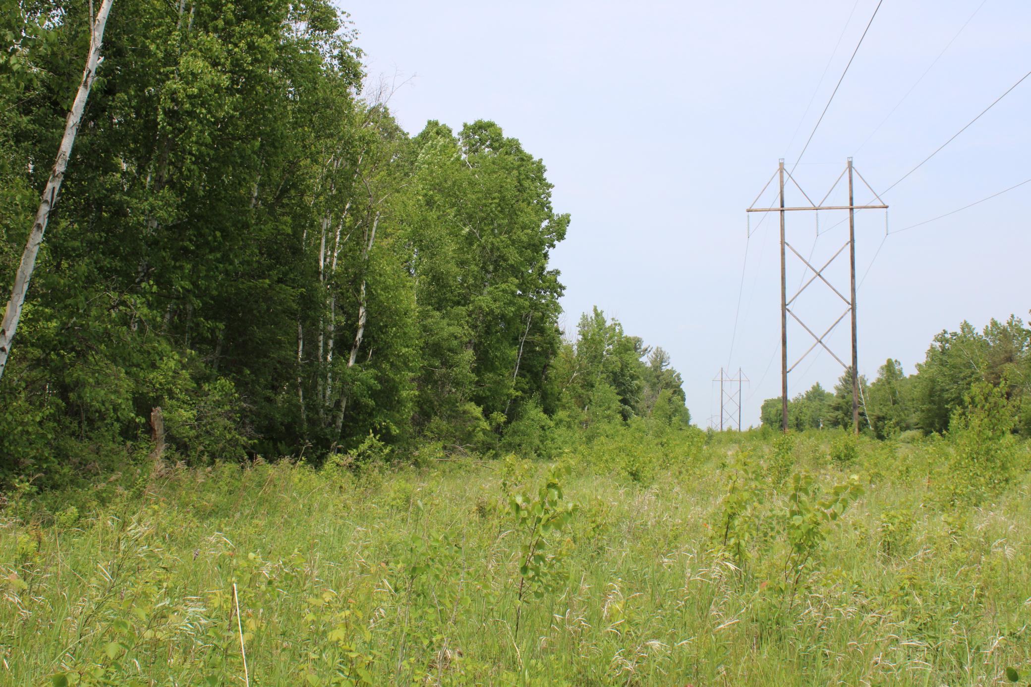 Sandhill, Pine City, Minnesota image 4