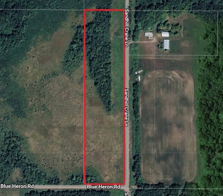Sandhill, Pine City, Minnesota image 11