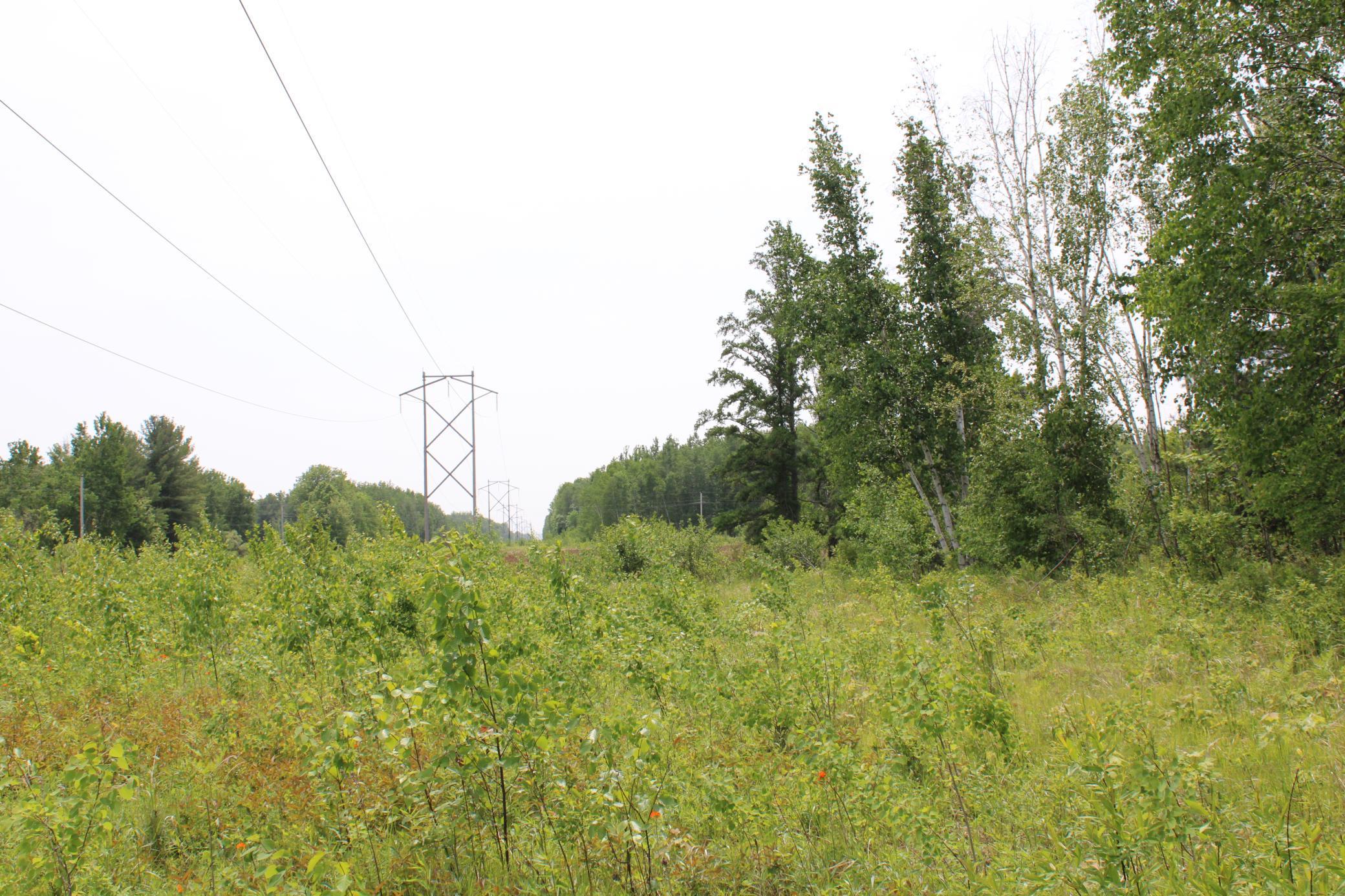 Sandhill, Pine City, Minnesota image 3