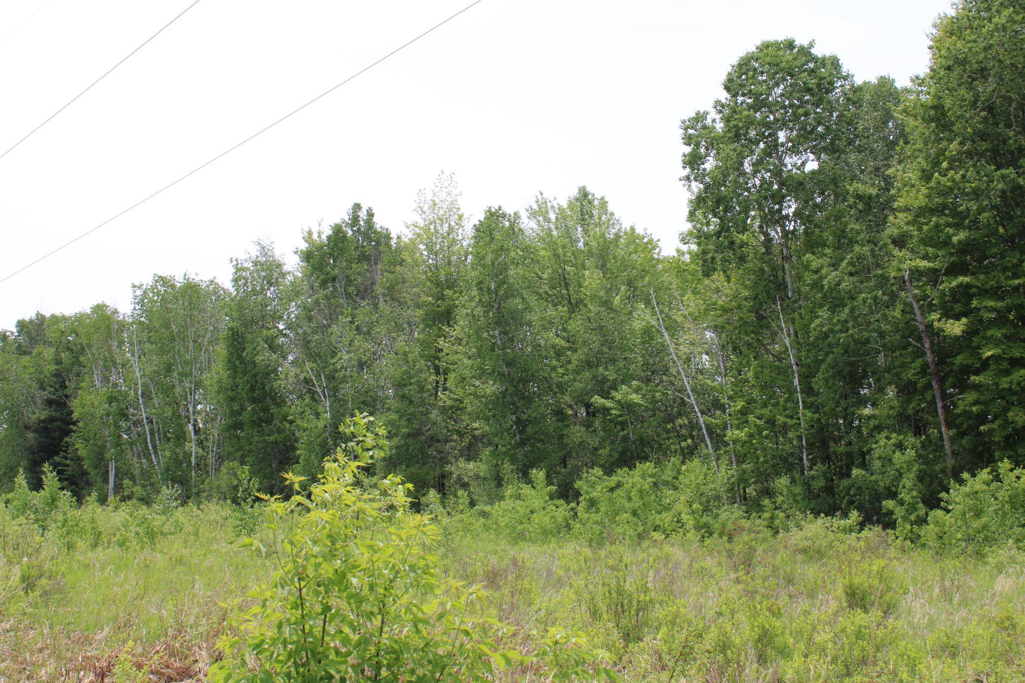 Sandhill, Pine City, Minnesota image 10