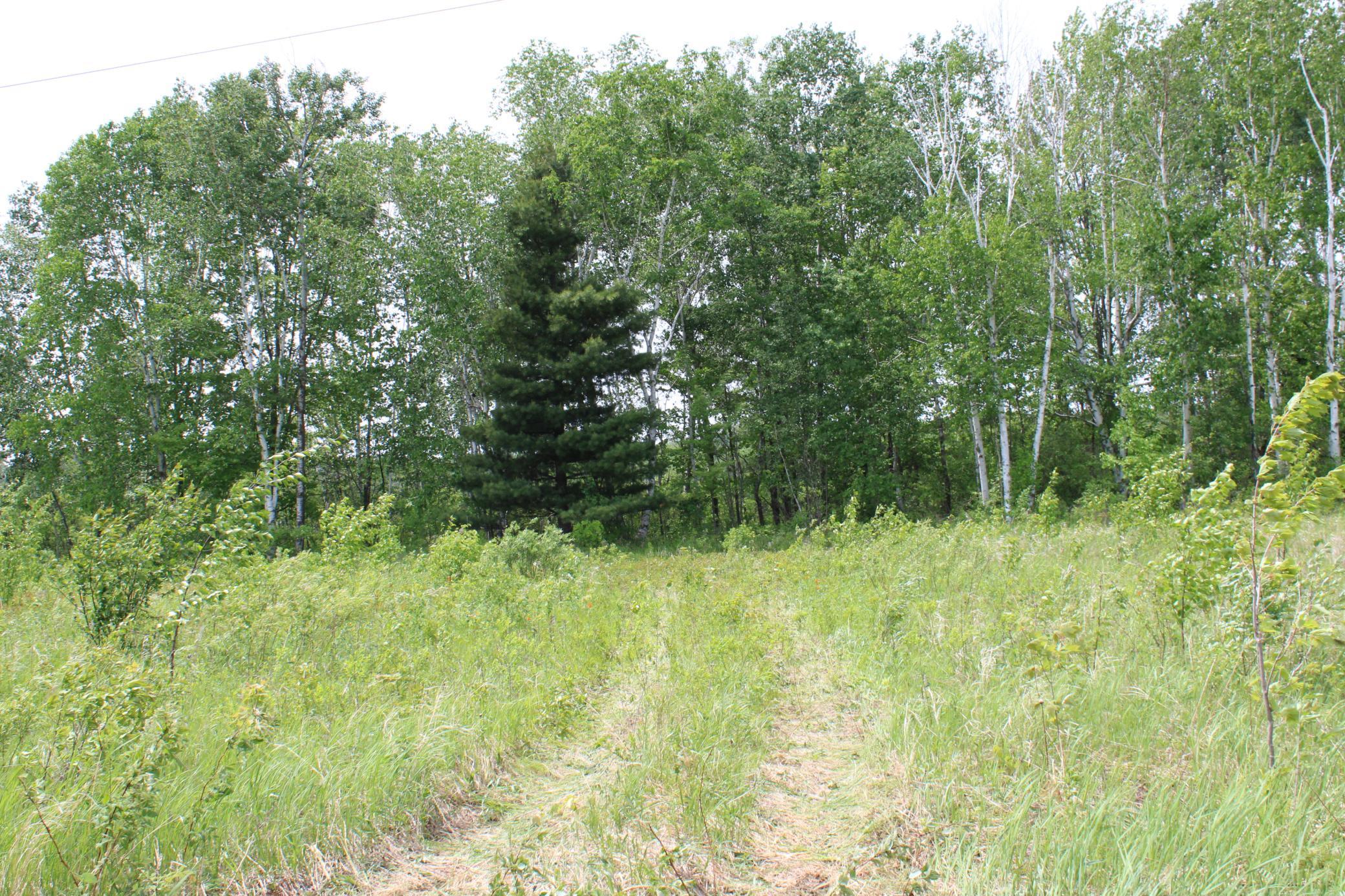 Sandhill, Pine City, Minnesota image 1
