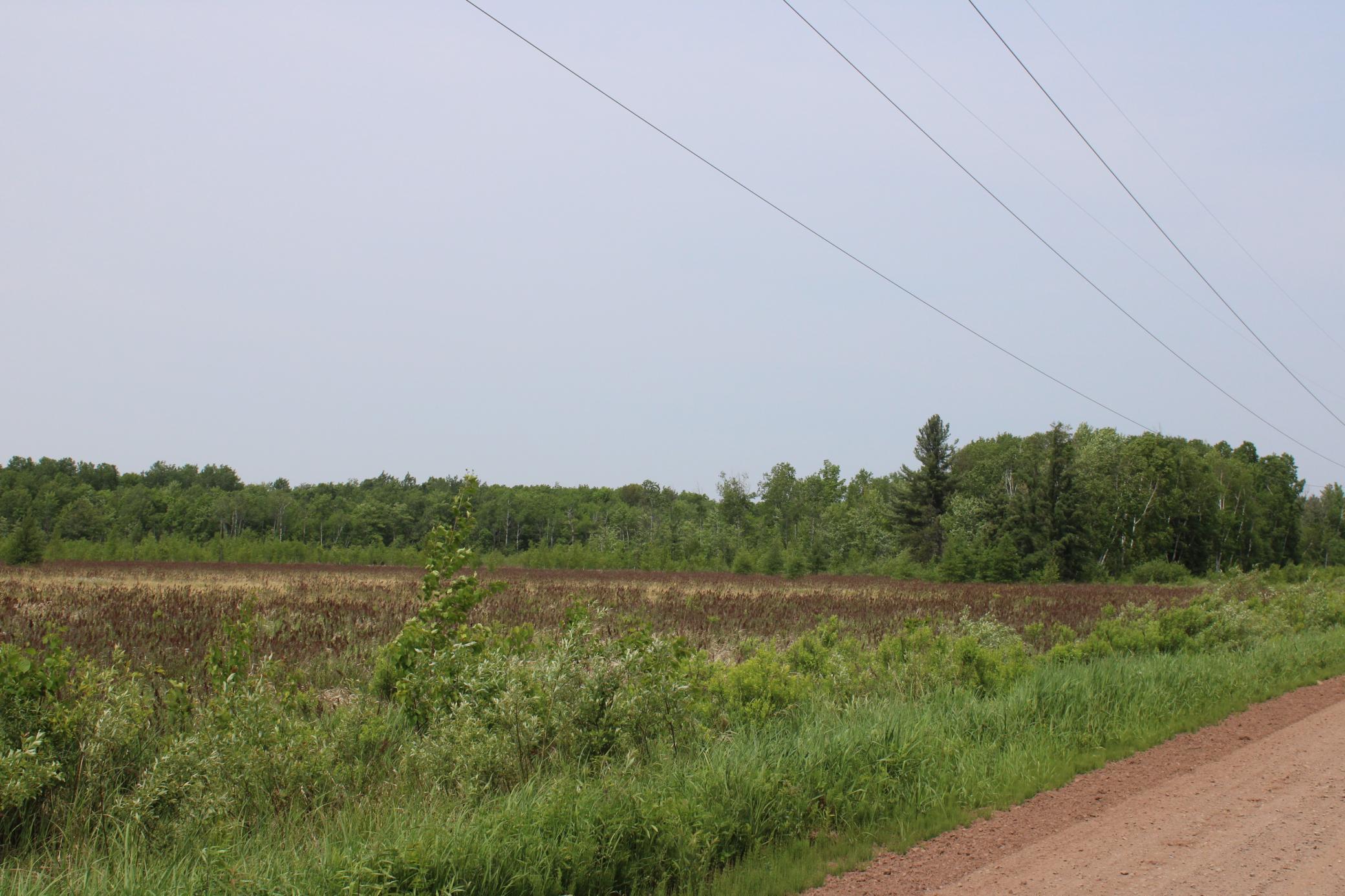 Sandhill, Pine City, Minnesota image 6