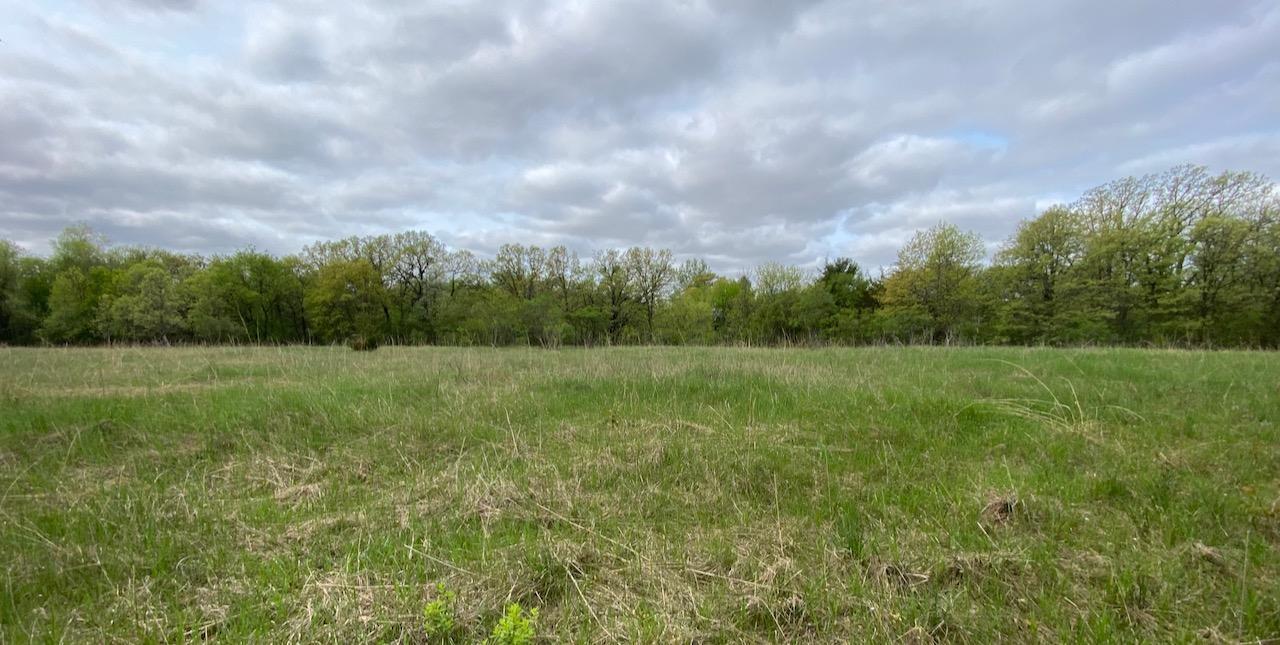 1xx N. Hickory St. & N Linden Street, Royalton, Minnesota image 31