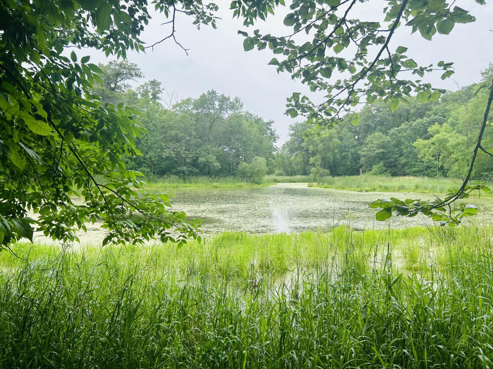 Xxx Held Circle, Cold Spring, Minnesota image 12