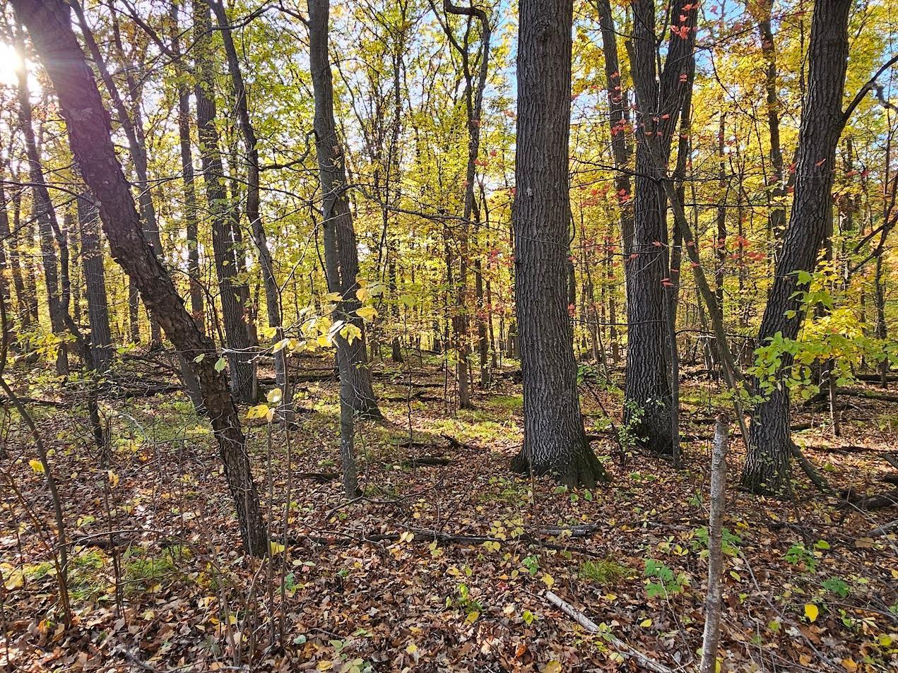 Xxx Held Circle, Cold Spring, Minnesota image 1