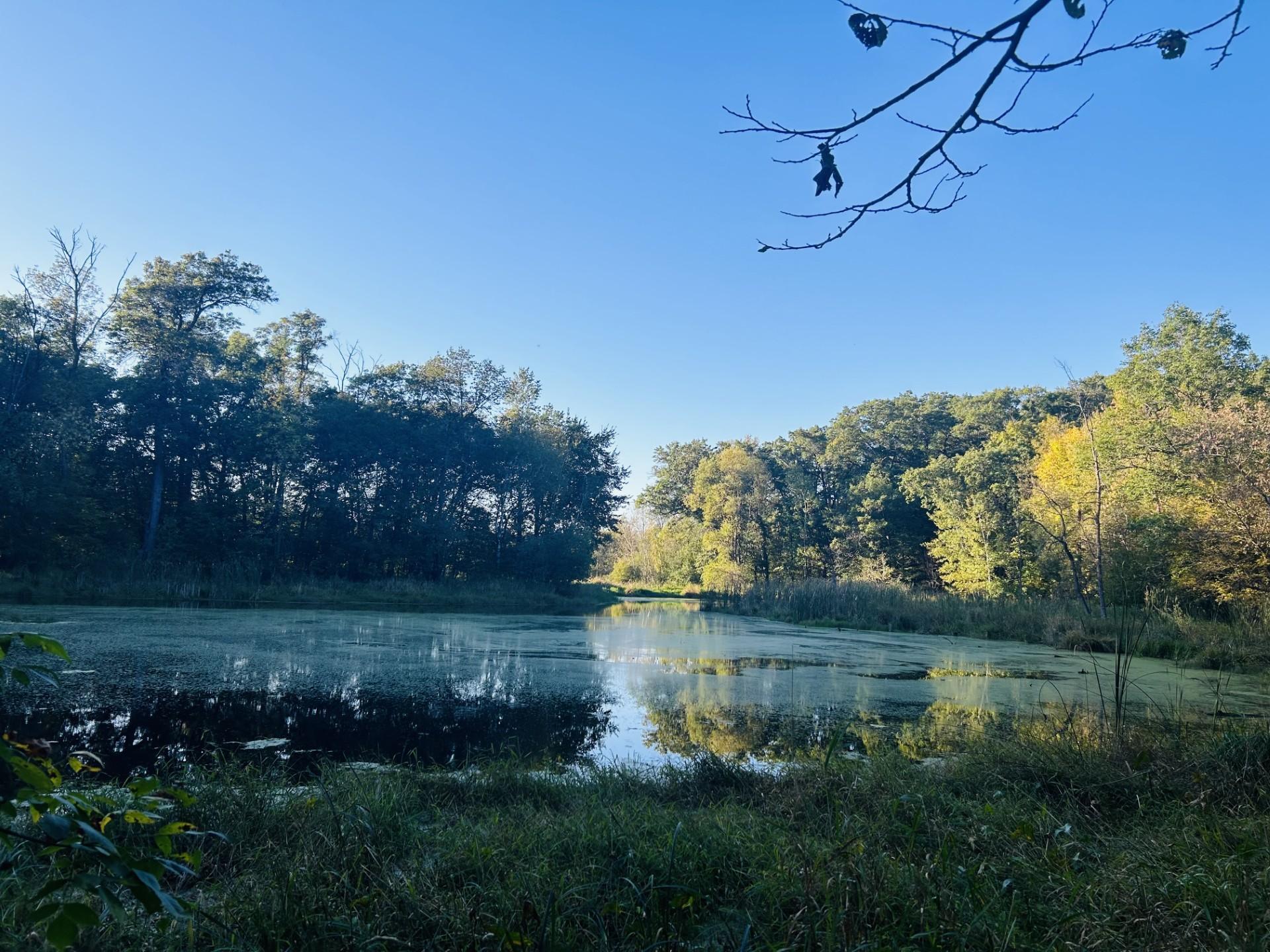 Xxx Held Circle, Cold Spring, Minnesota image 5