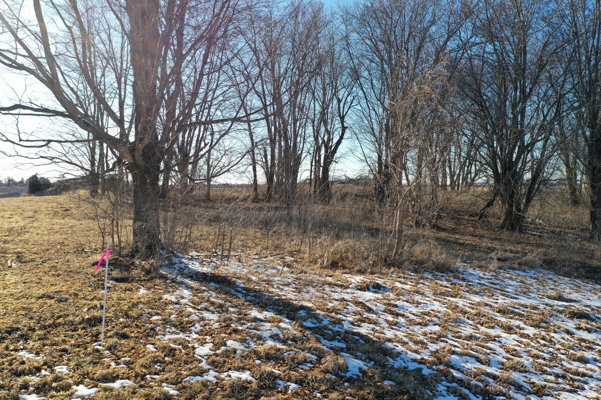 TBD County Road 27, Altura, Minnesota image 11