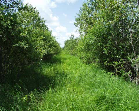 Vacant Land For Sale - 72001 NW Dicks Parkway<br/> Beltrami County, Grygla, MN 56727