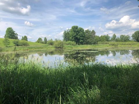 Vacant Land For Sale - TBD Dixon Line Rd<br/> Finlayson, MN 55735