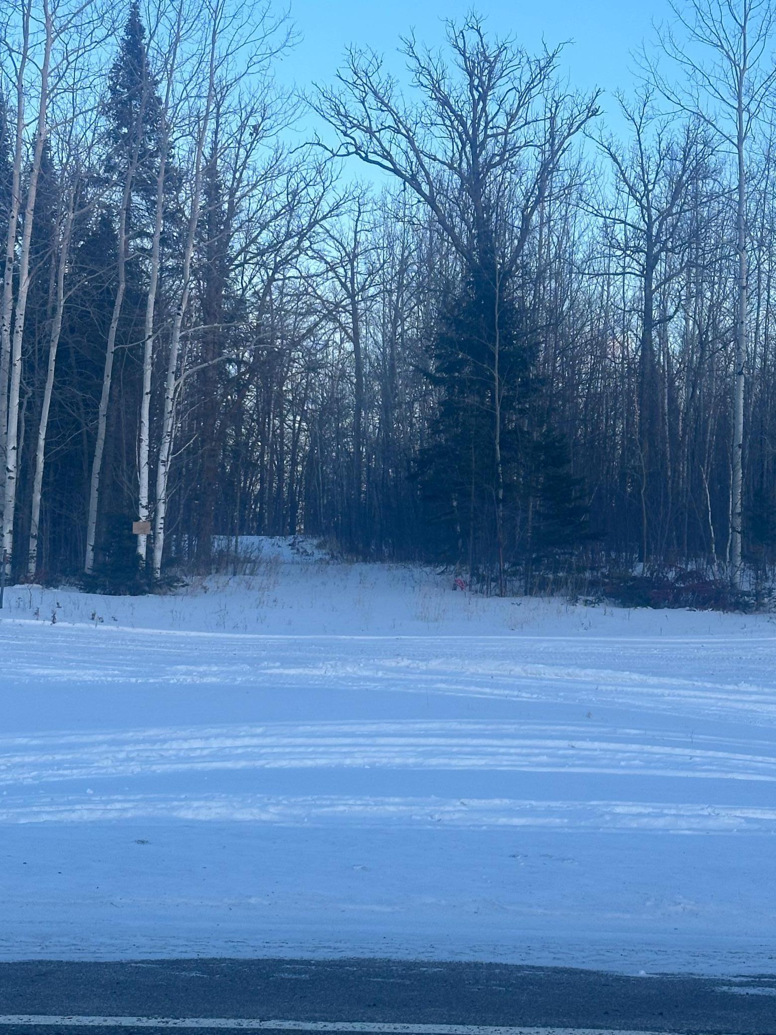 TBD Hwy 89, Puposky, Minnesota image 8