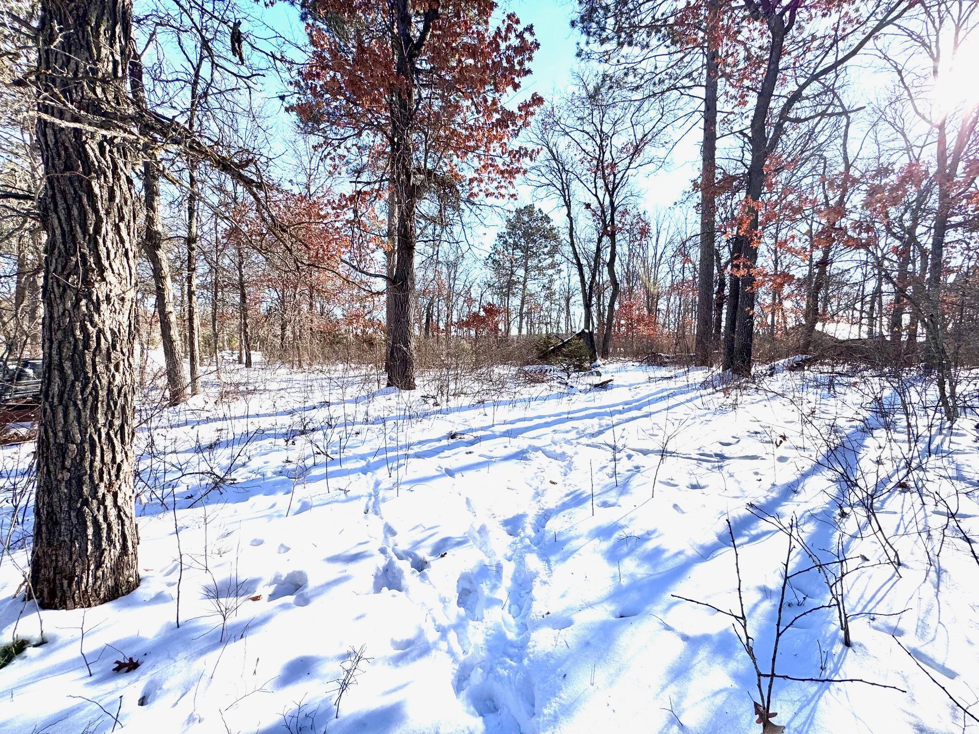 TBD 141st Avenue, Menahga, Minnesota image 4