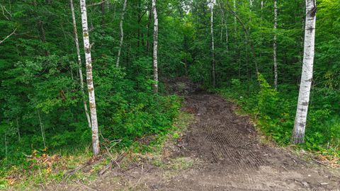 Vacant Land For Sale - LOT 12 Cr-30<br/> Crosby, MN 56441