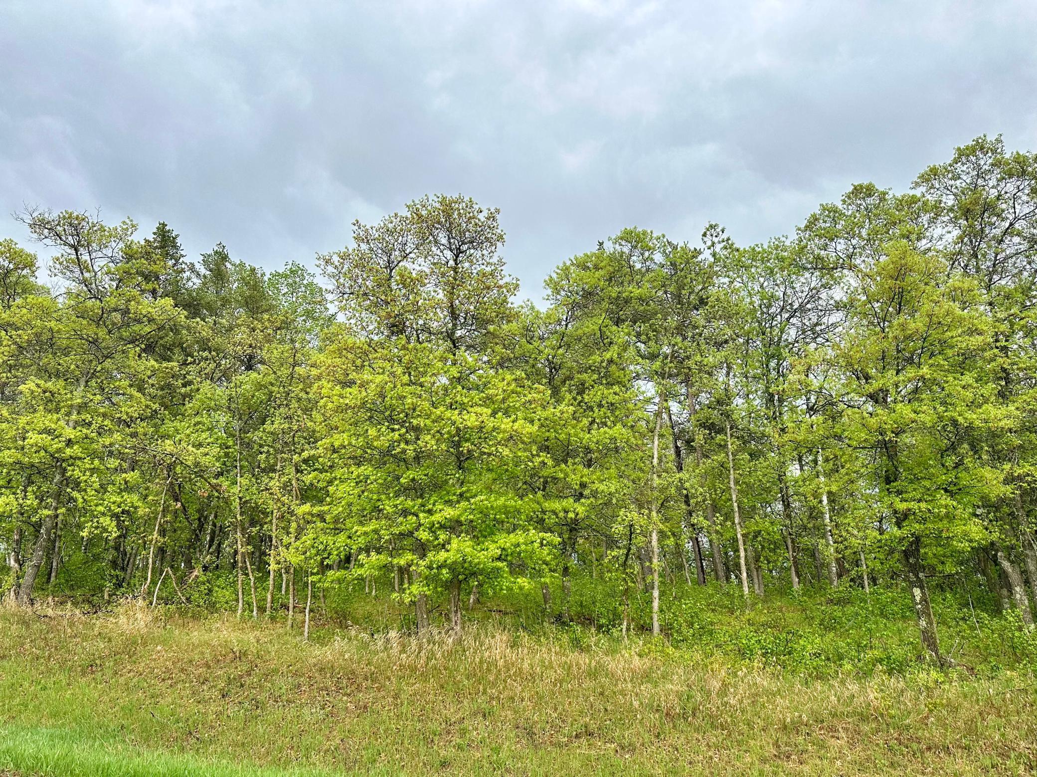 TBD Lot 1 Fairway Trail, Park Rapids, Minnesota image 3