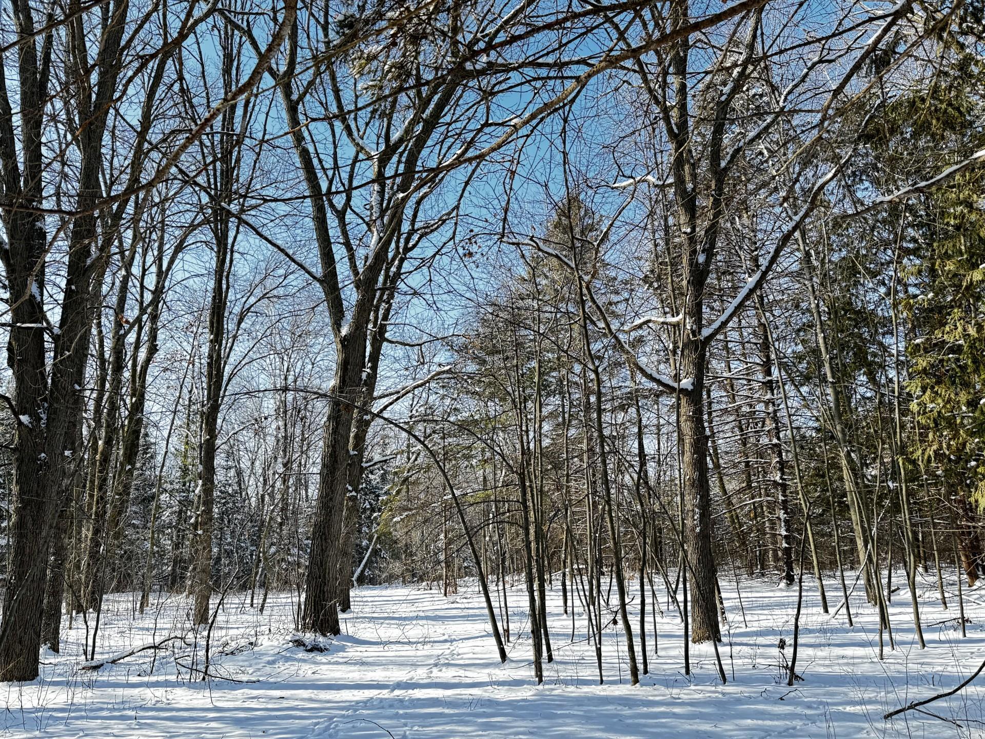 TBD Katrine Drive, Deerwood, Minnesota image 4