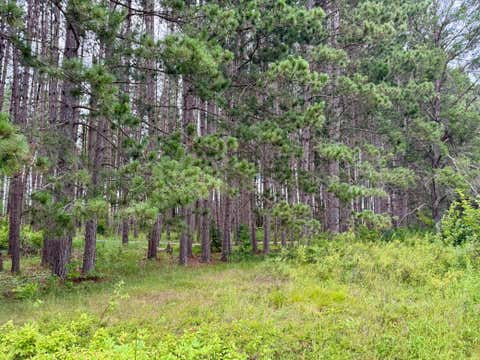 Vacant Land For Sale - TBD 20TH ST. SW 20 St. Sw<br/> Pine River, MN 56474