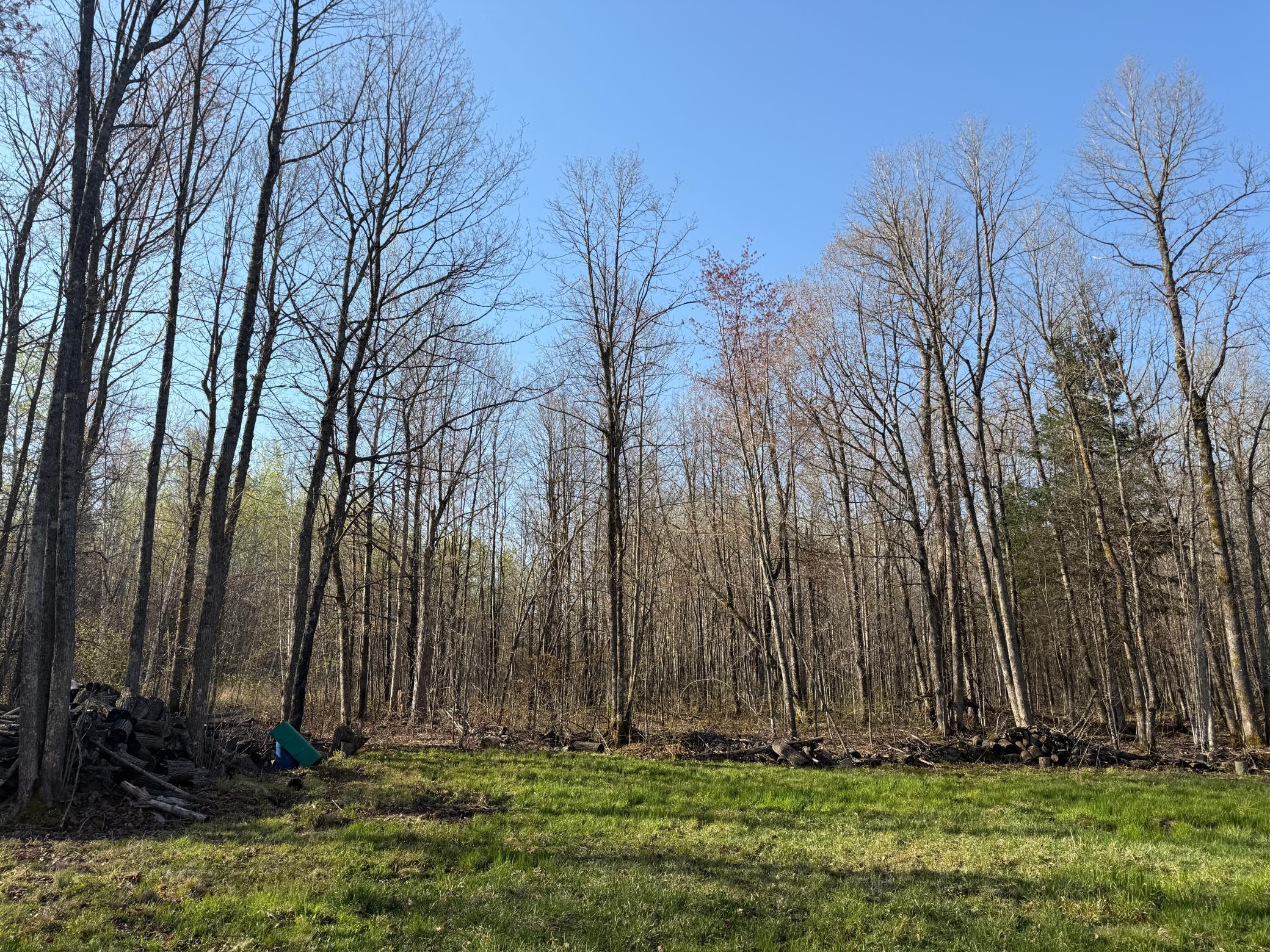 3329 Reuben Johnson Road, Kettle River, Minnesota image 21