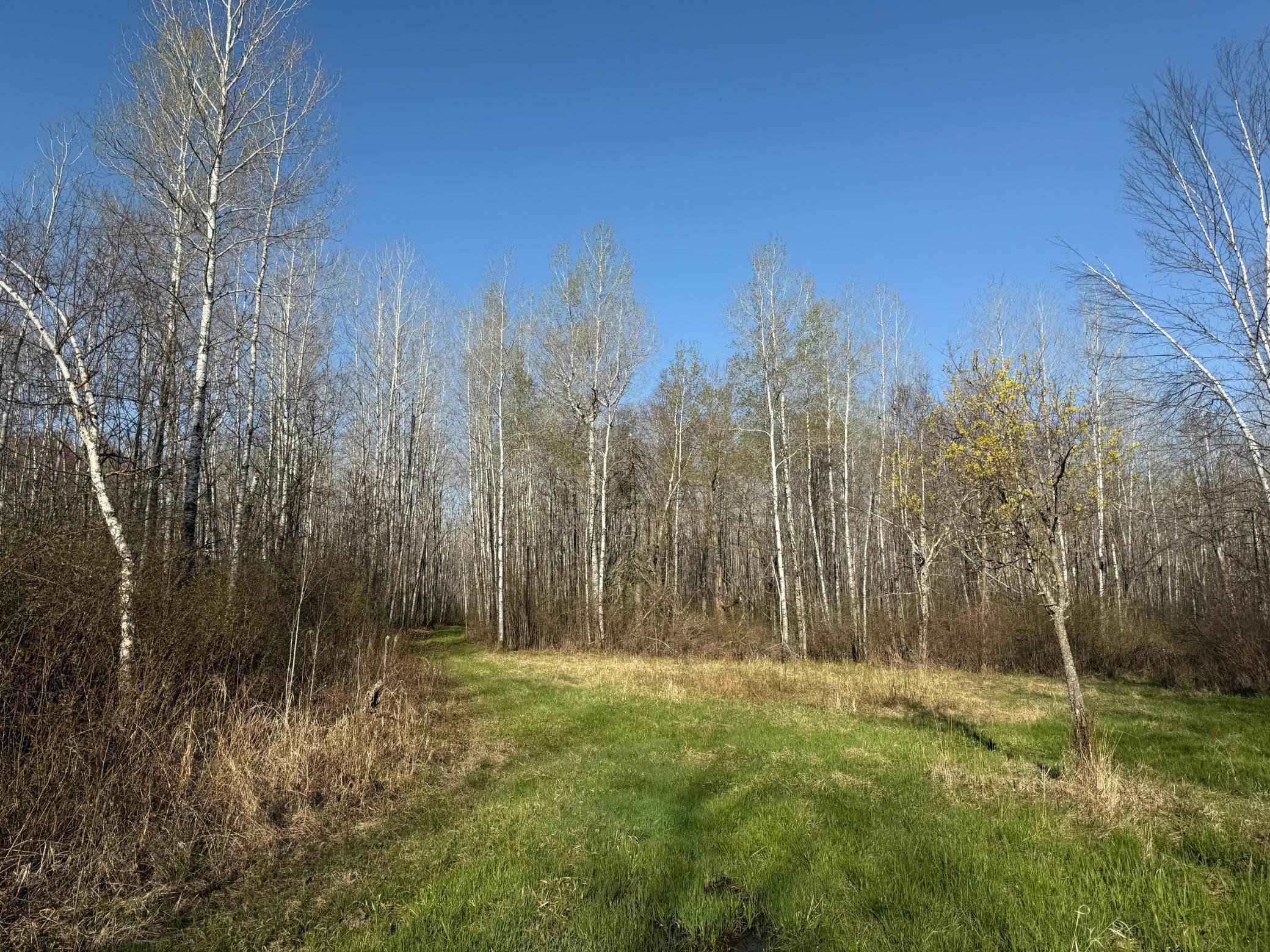 3329 Reuben Johnson Road, Kettle River, Minnesota image 27