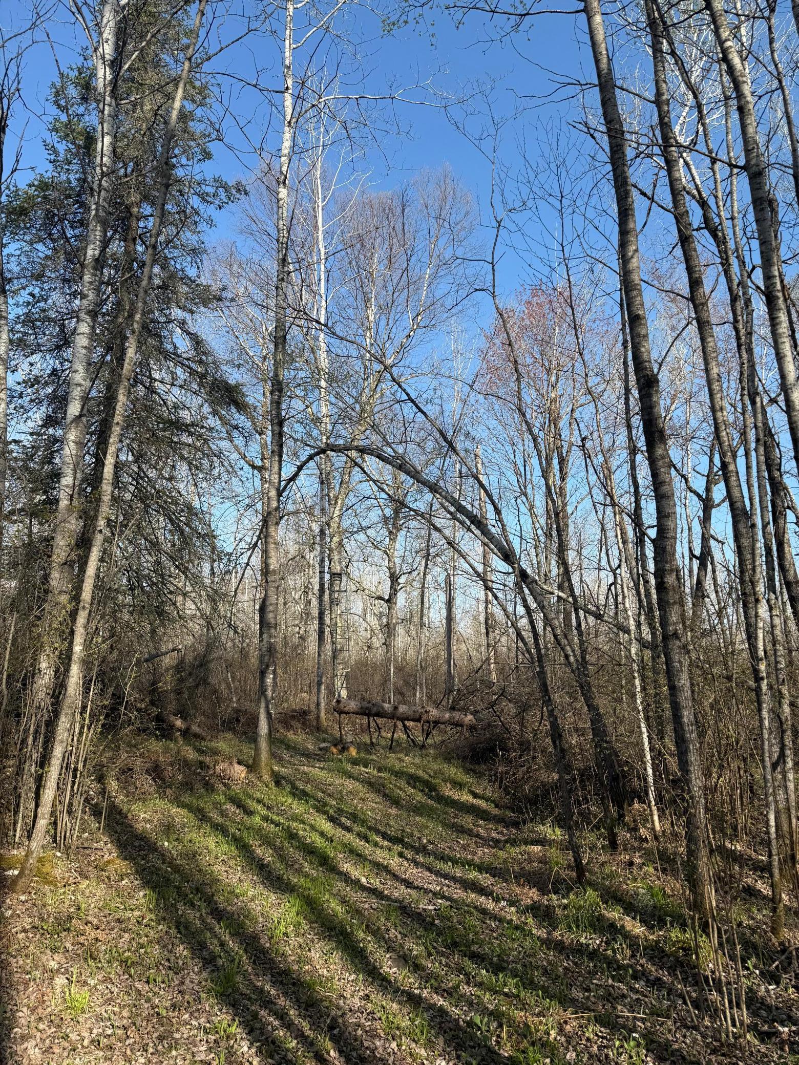 3329 Reuben Johnson Road, Kettle River, Minnesota image 32