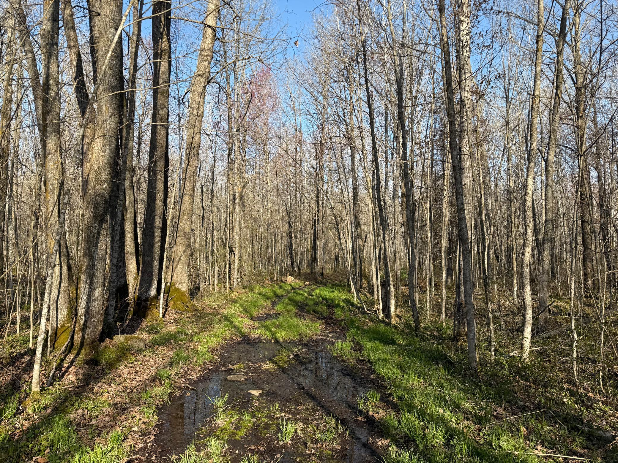 3329 Reuben Johnson Road, Kettle River, Minnesota image 20