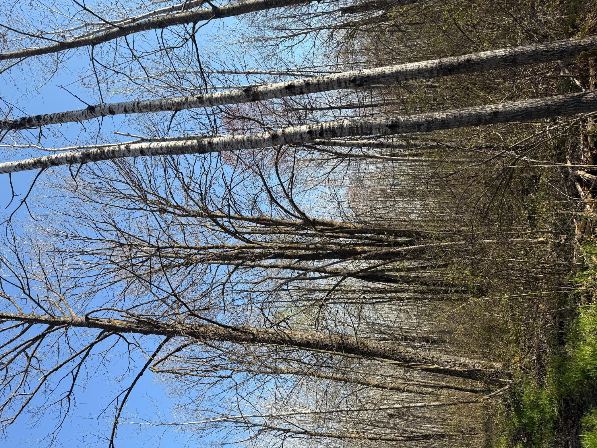 3329 Reuben Johnson Road, Kettle River, Minnesota image 18