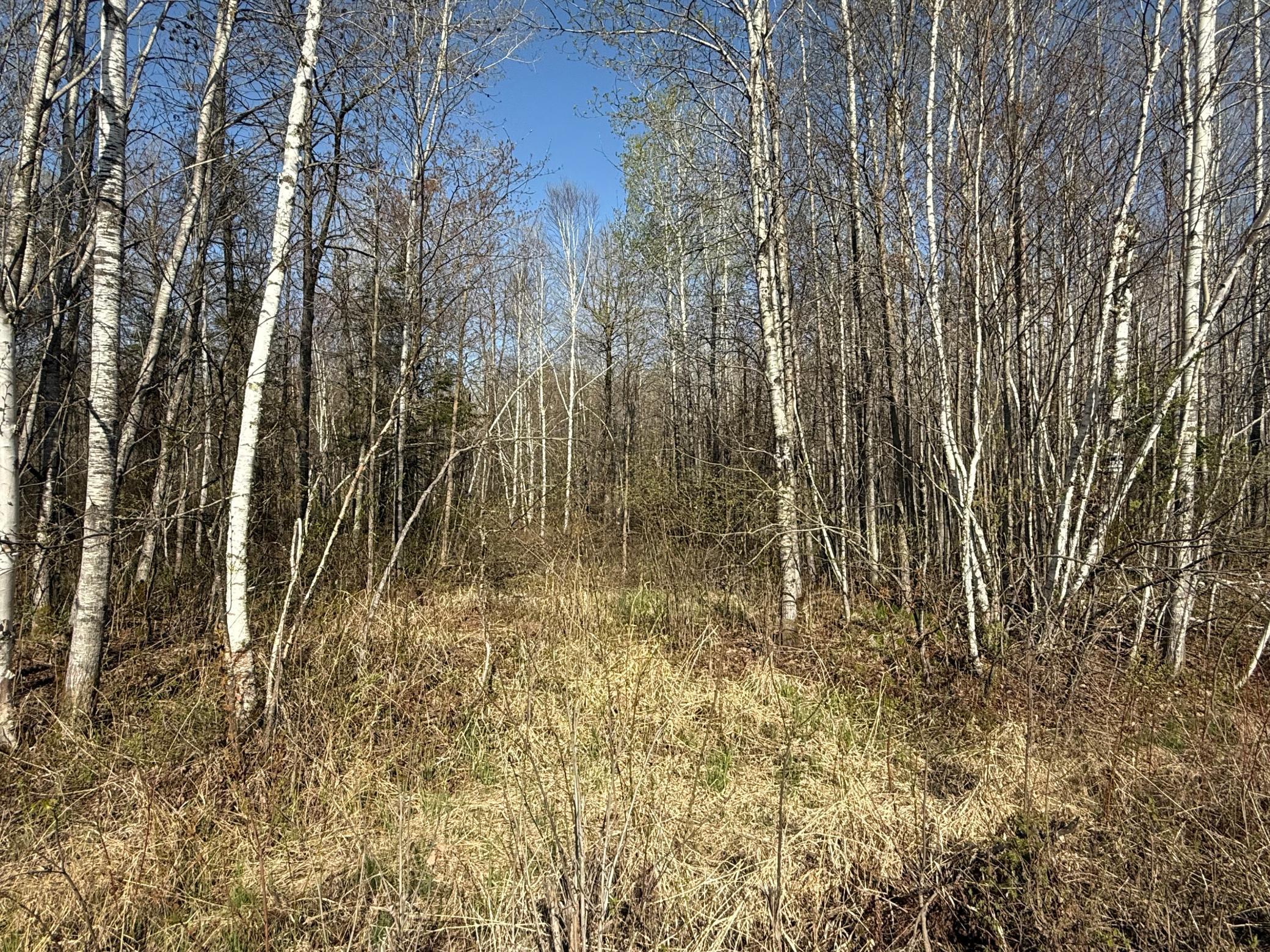 3329 Reuben Johnson Road, Kettle River, Minnesota image 33