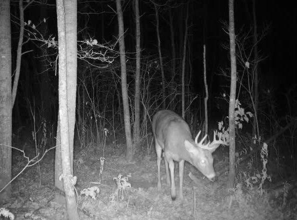3329 Reuben Johnson Road, Kettle River, Minnesota image 15