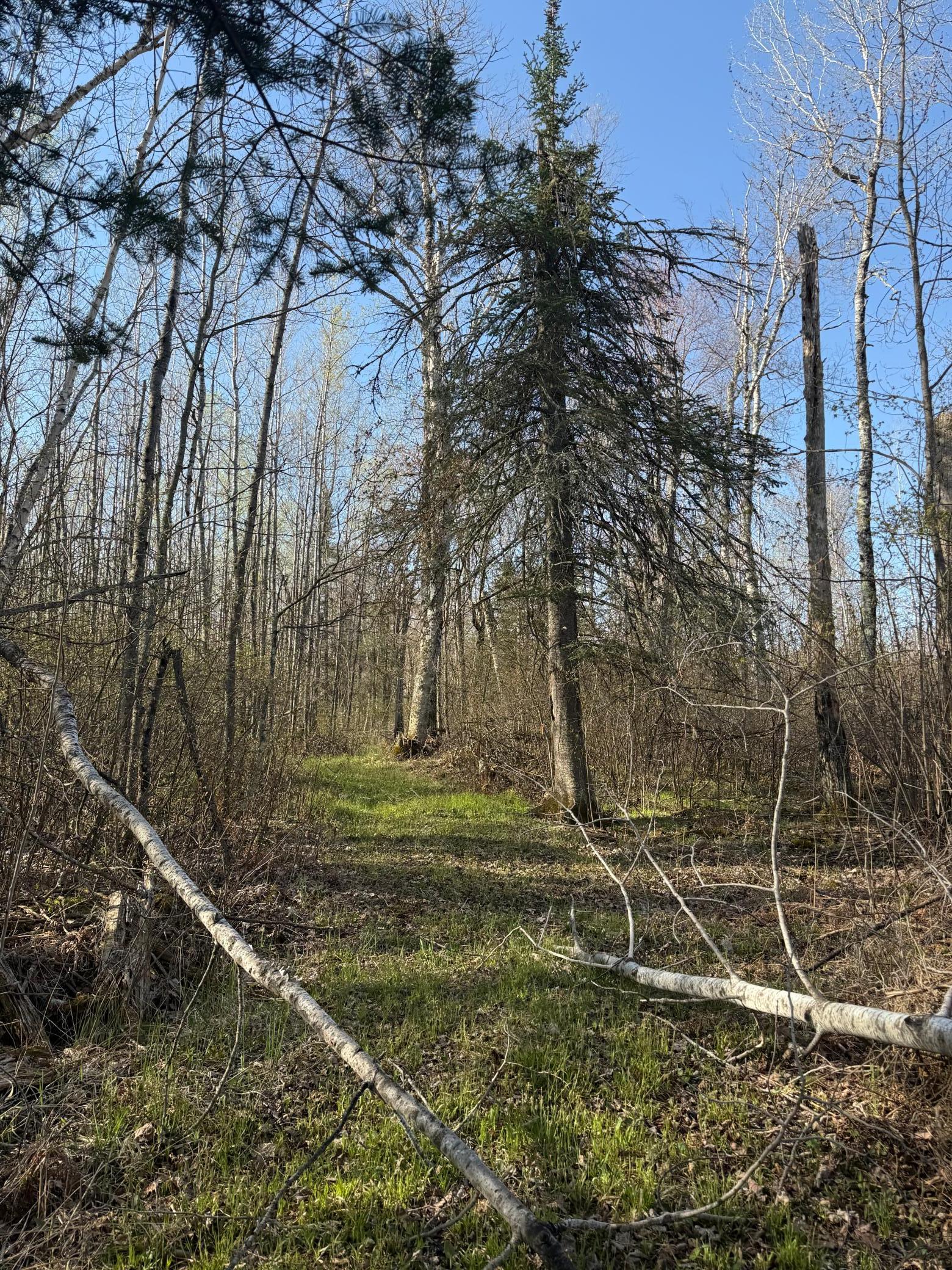 3329 Reuben Johnson Road, Kettle River, Minnesota image 31
