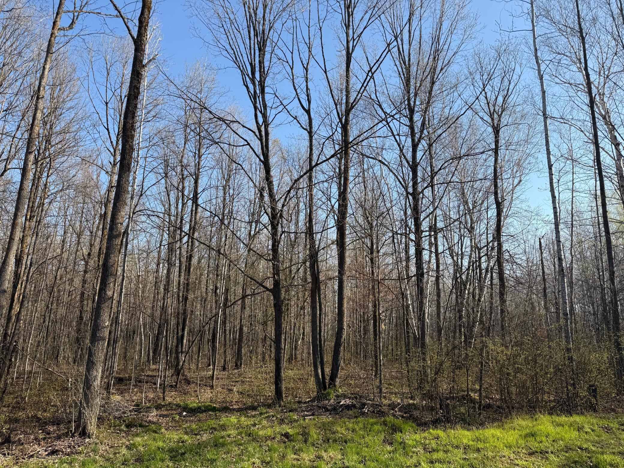 3329 Reuben Johnson Road, Kettle River, Minnesota image 16
