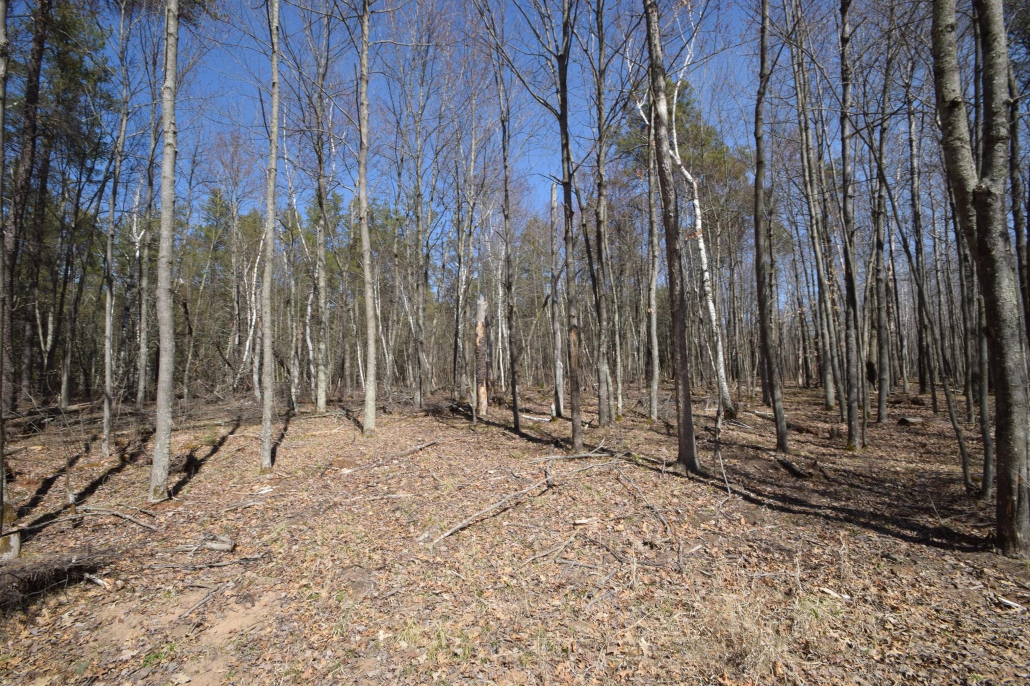 8601 Olsen Road, Webster, Wisconsin image 18