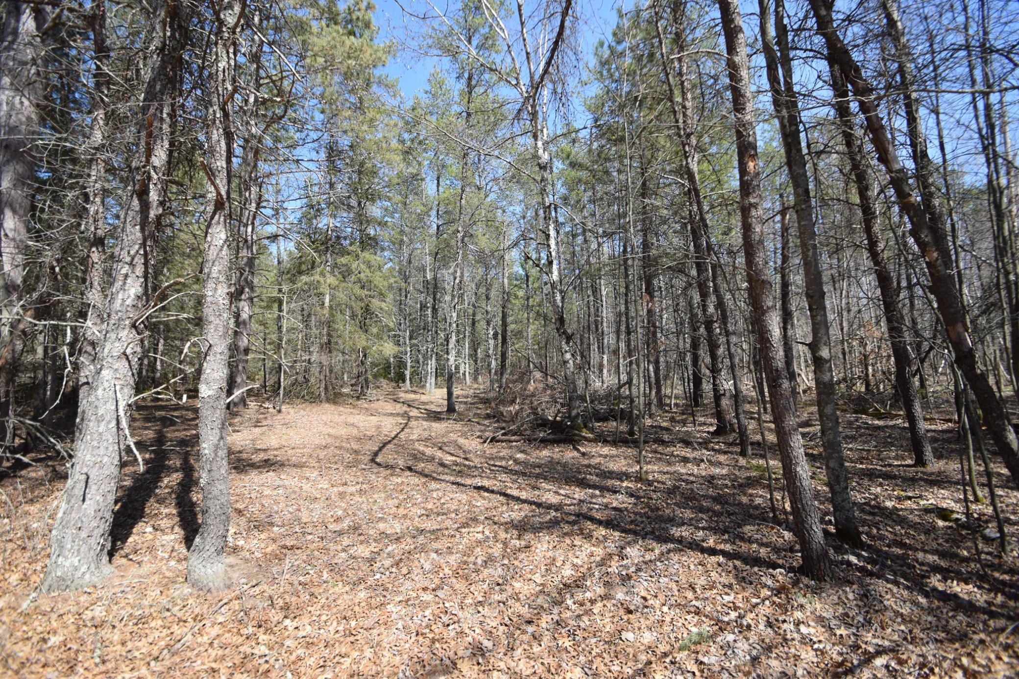 8601 Olsen Road, Webster, Wisconsin image 17