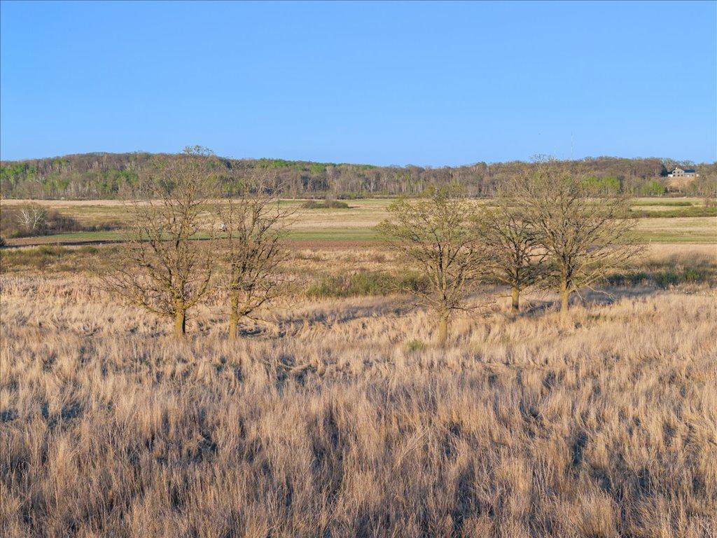 TBD County Rd 1, Pequot Lakes, Minnesota image 7